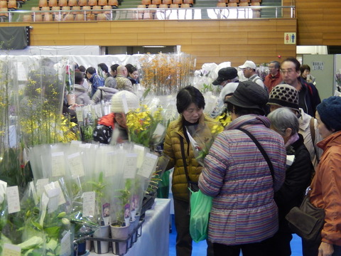 DSCN0321