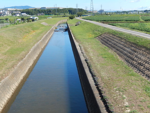 DSCN8881