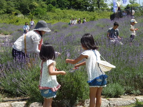 DSCN3667