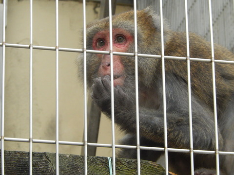 DSCN0094