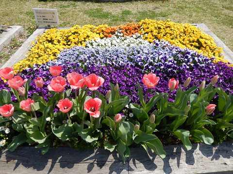 DSCN0713