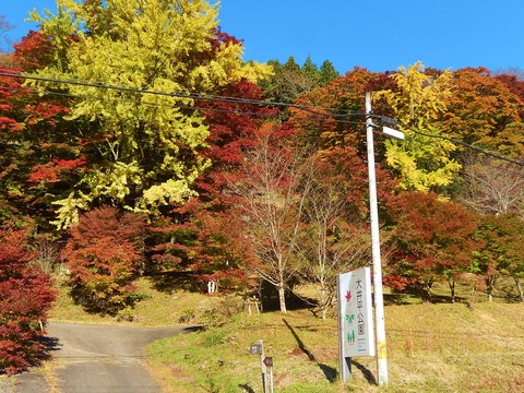 DSCN9275