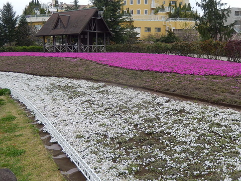 DSCN0343