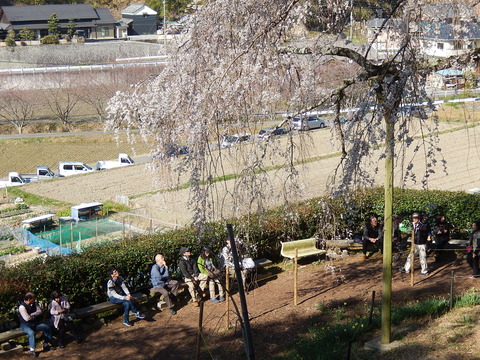 DSCN9669
