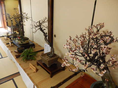 DSCN0848