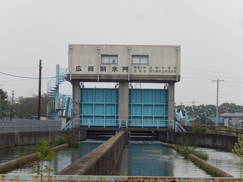 DSCN9015
