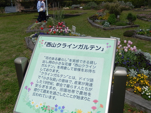 DSCN0802