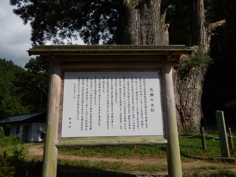 DSCN5143