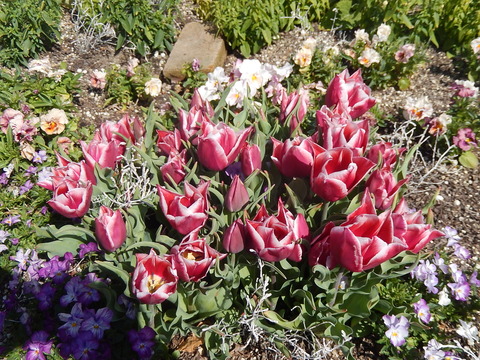 DSCN2174
