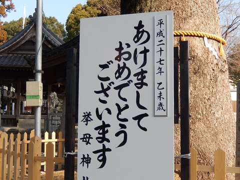 DSCN0823