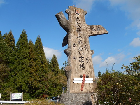 DSCN3318