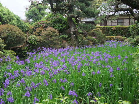 DSCF0109
