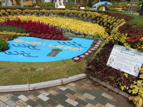 DSCN6128