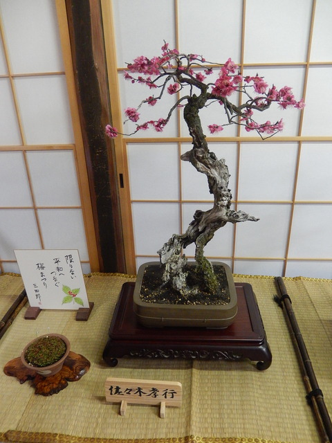 DSCN0780