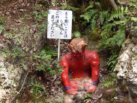 DSCN5385