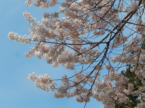 DSCN1892