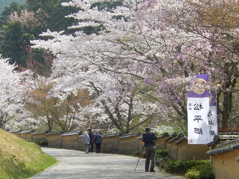 DSCN2239