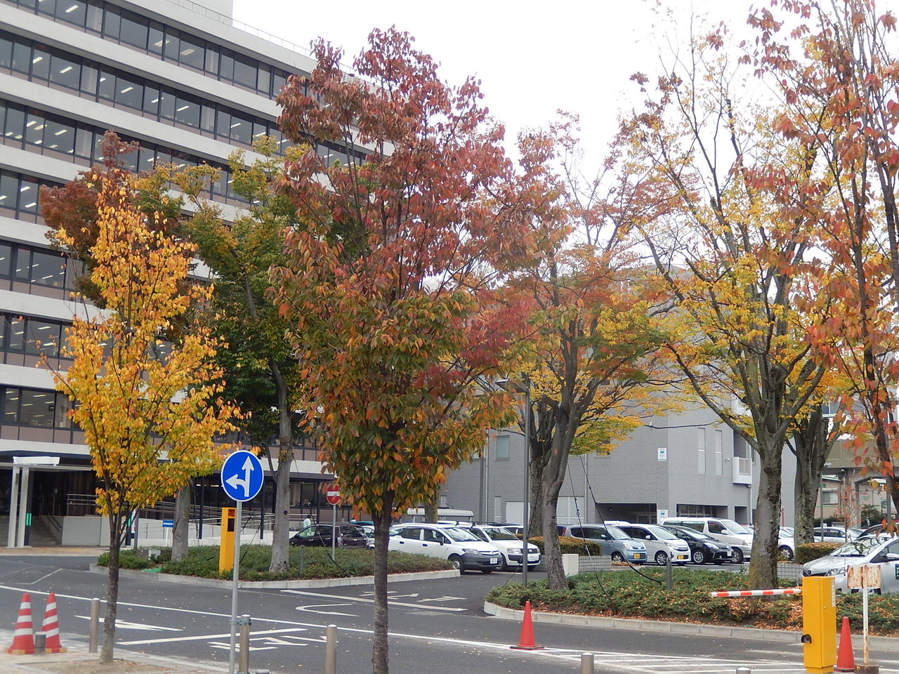 豊田市役所の敷地内に２人の銅像 やつば池散歩道 豊田市 のブログ