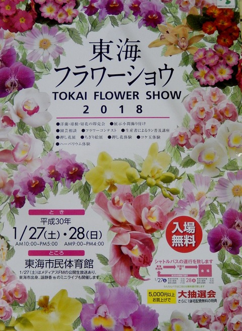 DSCN0166