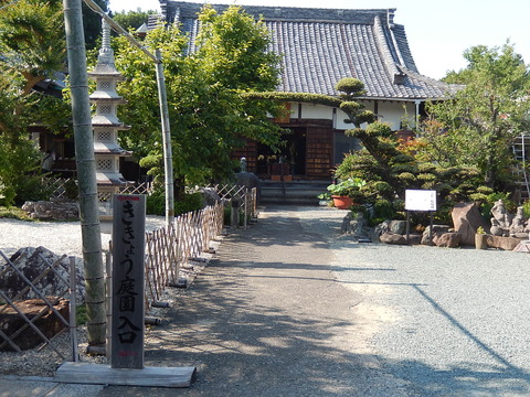DSCN7389