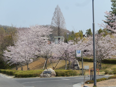 DSCN2875