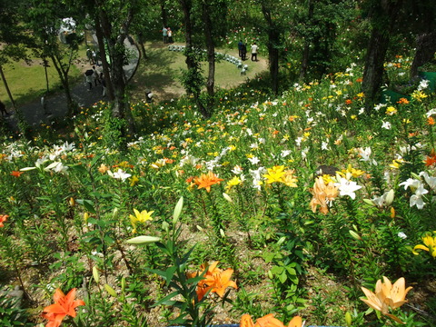DSCF0061