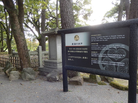 DSCN8388