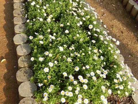DSCN8112