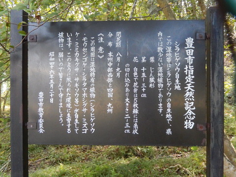 DSCN7213