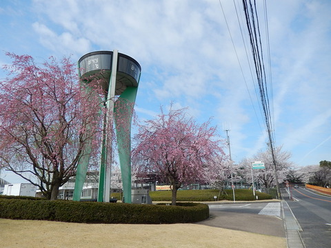 DSCN0315
