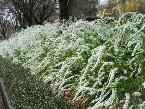 DSCF0079
