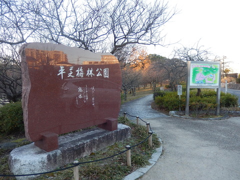 DSCN9806