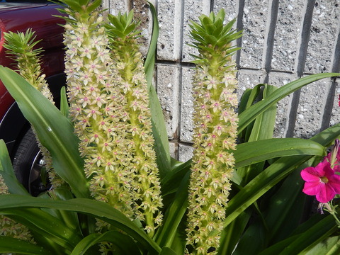 DSCN7650