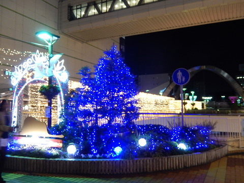 DSCN9228