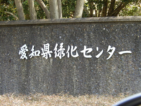 DSCN9875