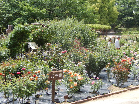 DSCN1672
