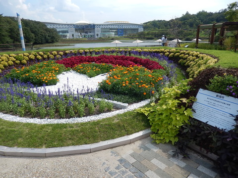 DSCN6108
