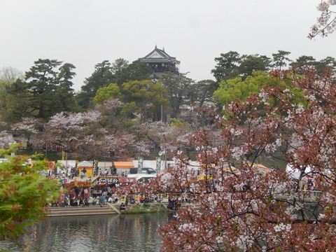DSCN3026