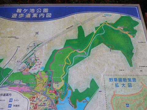DSCN0992