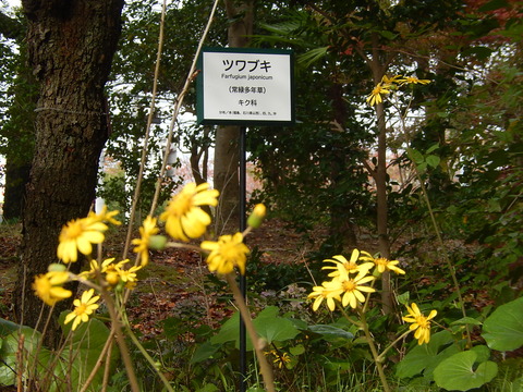 DSCN8473