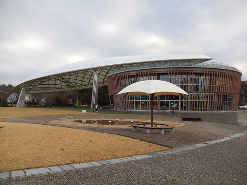 DSCN0994