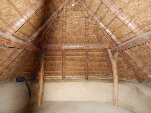 DSCN0664