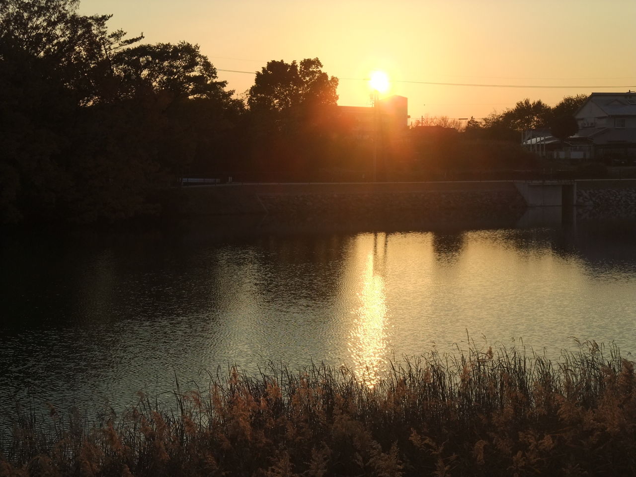 夕方の散歩道で やつば池散歩道 豊田市 のブログ