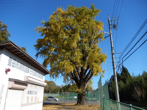 DSCN8026