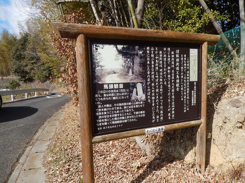 DSCN0111