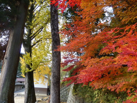 DSCN8256