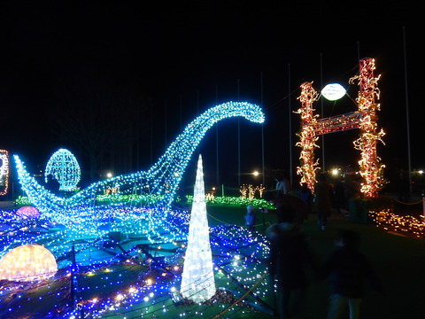 DSCN9718