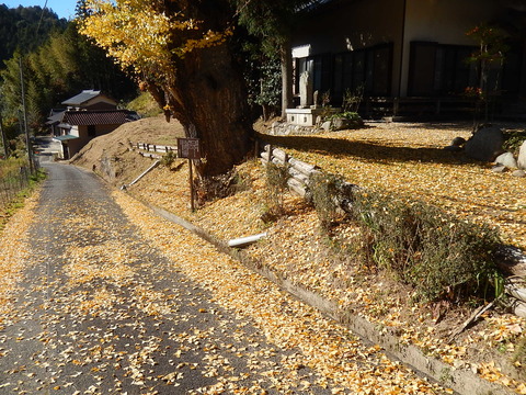 DSCN9617