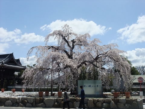 DSCF0054