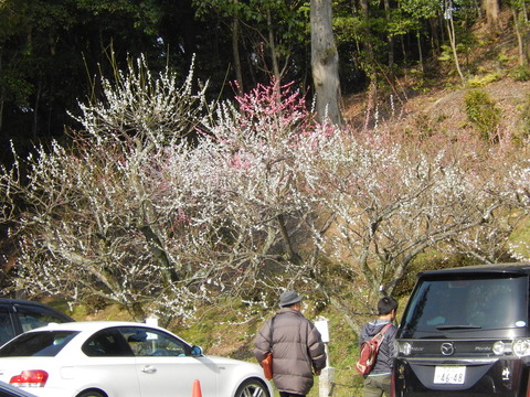 DSCN9246
